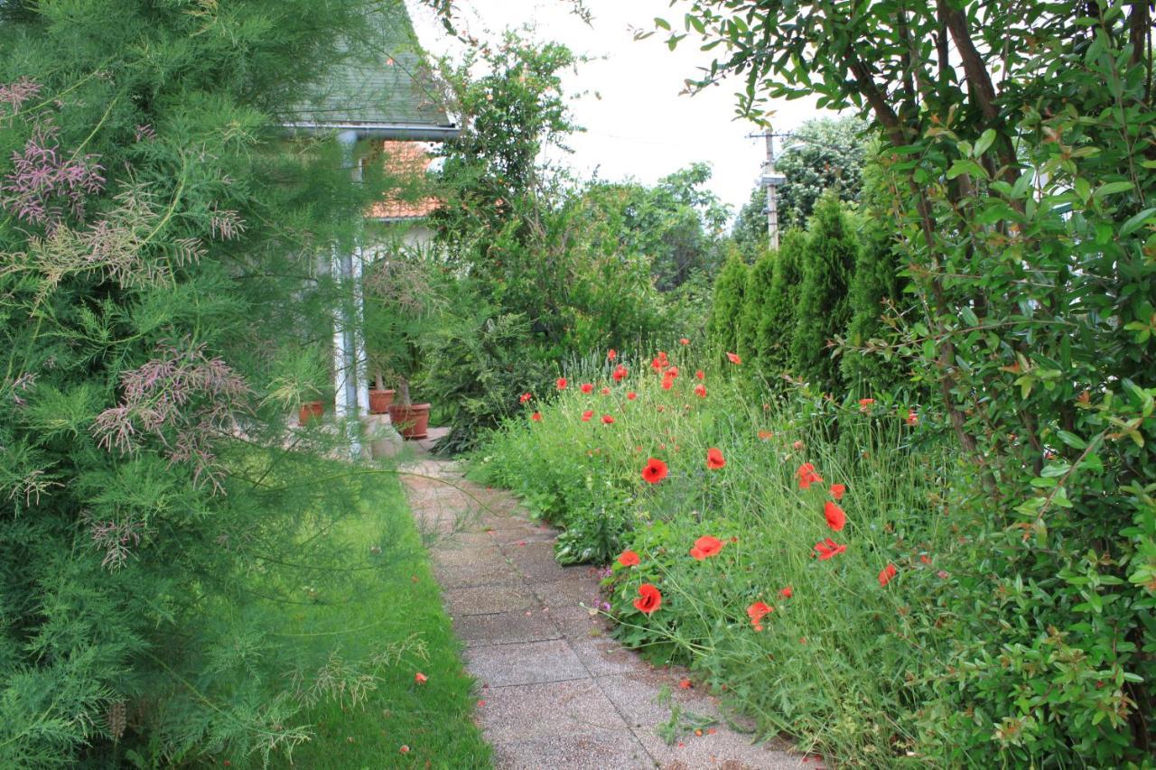 Boulevard Garden House - Free And Save Parking In The Locked Yard Ćuprija Exterior foto